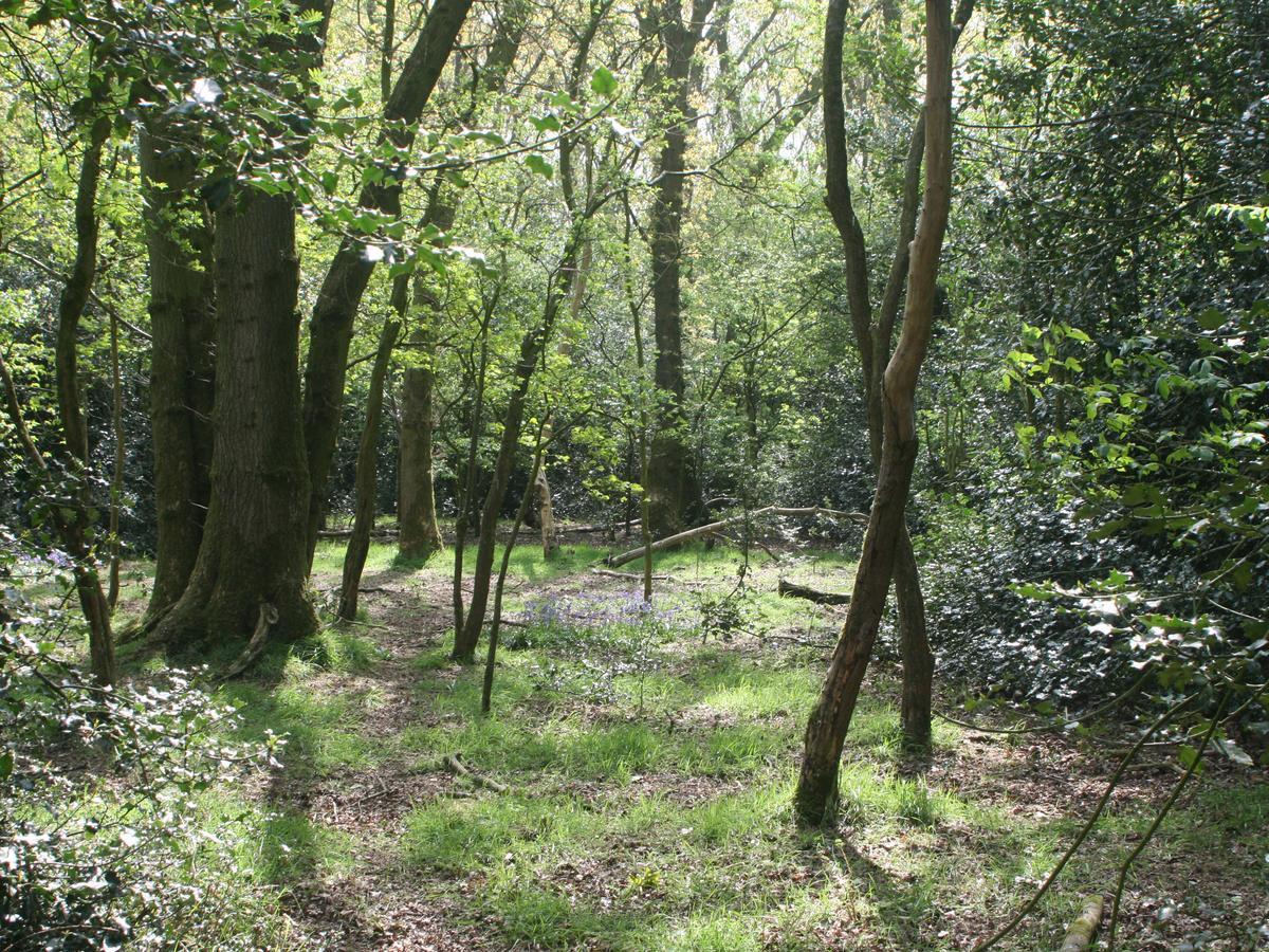 Faraway Cottage Kirklinton Εξωτερικό φωτογραφία